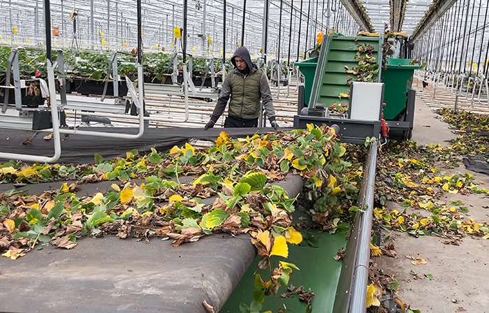 Leaf Remover